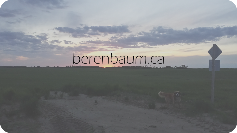 berenbaum.ca